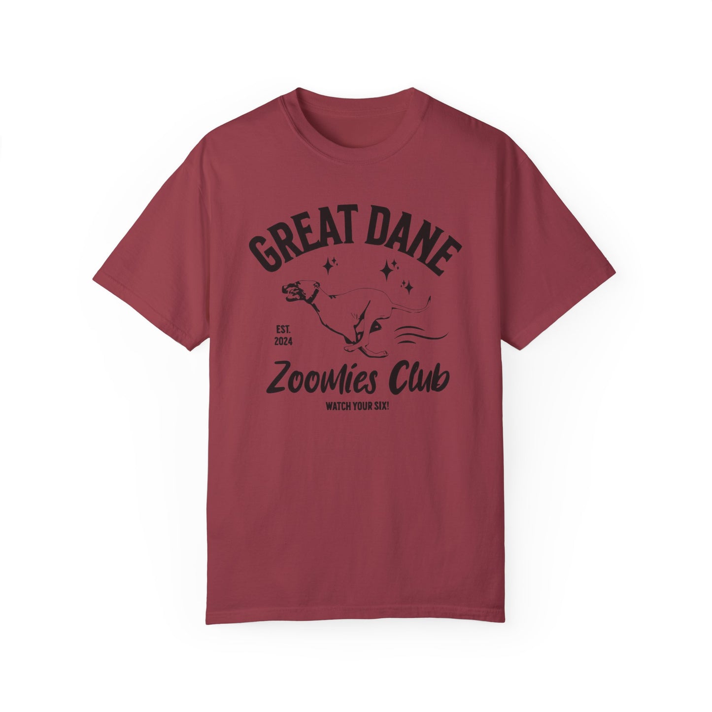 Zoomies Club Comfort Colors Tee