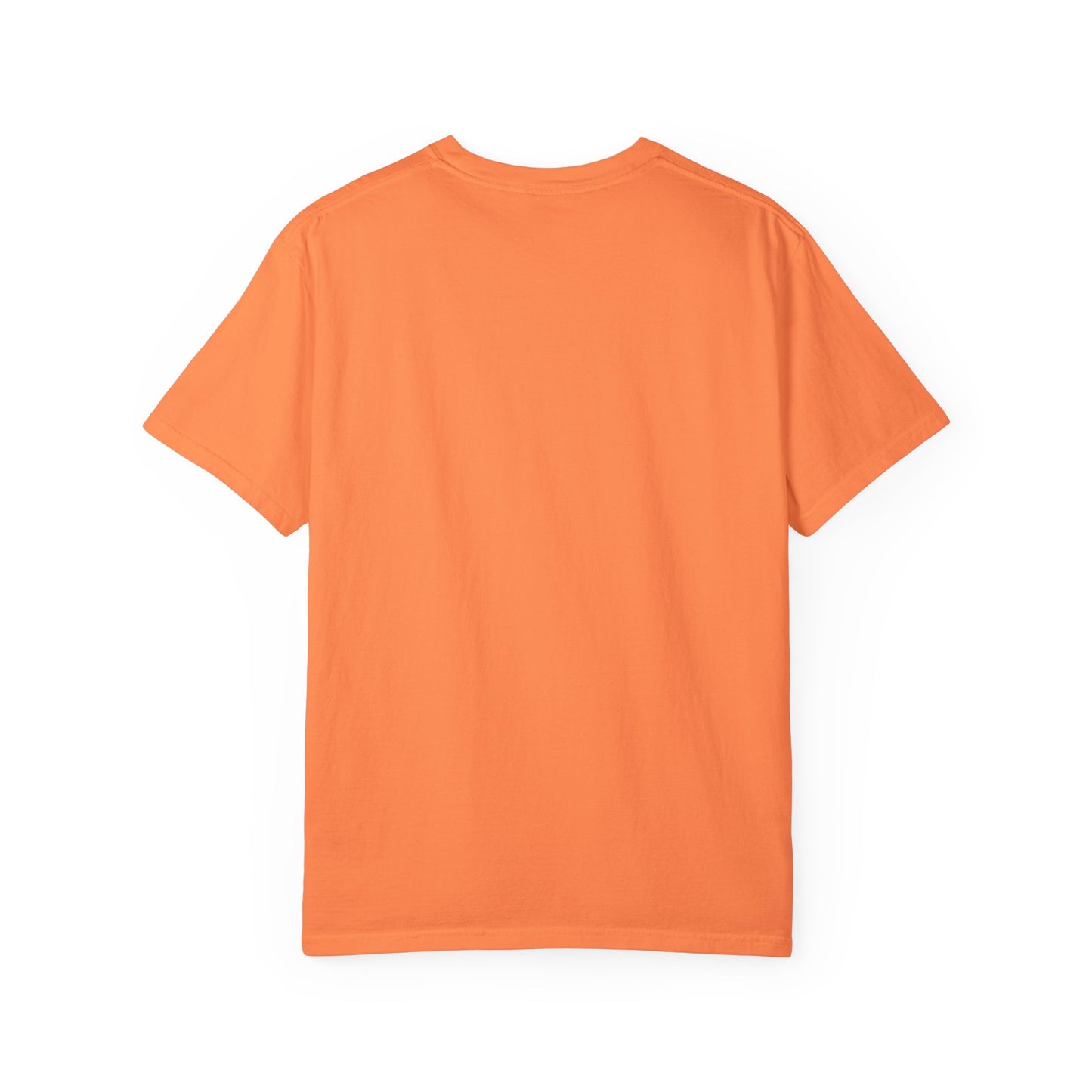 Zoomies Club Comfort Colors Tee