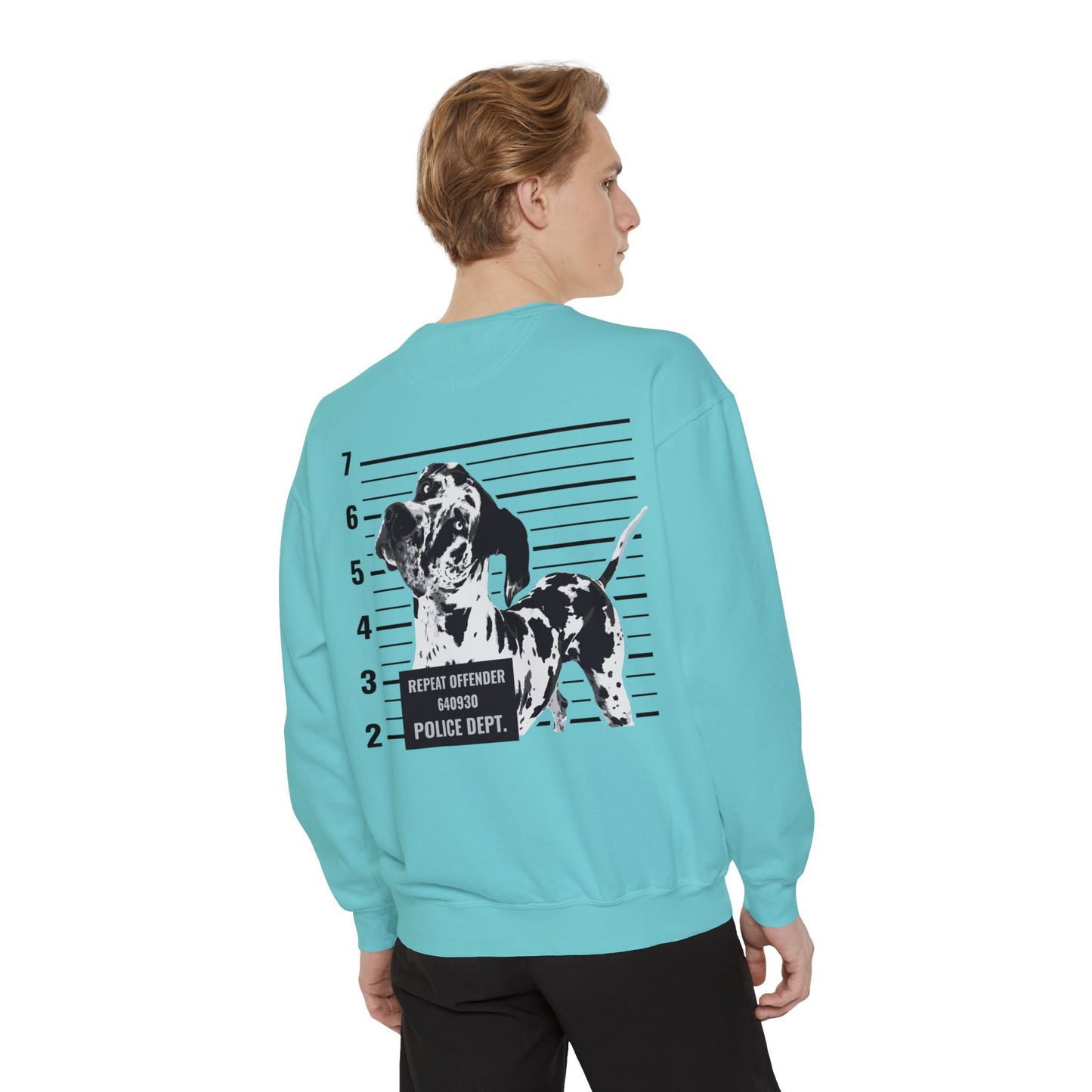 #FreeRocco Comfort Colors Sweatshirt