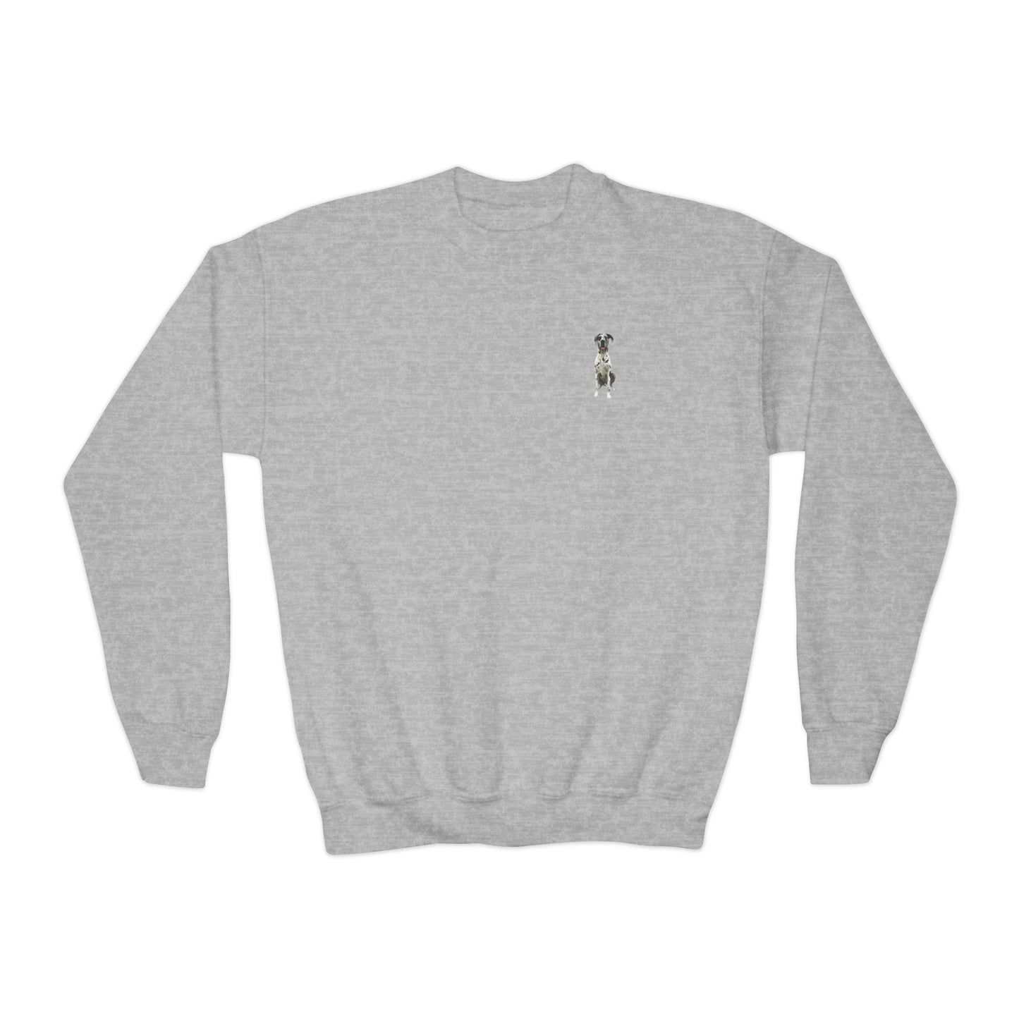Rocco and Fam Youth Crewneck Sweatshirt