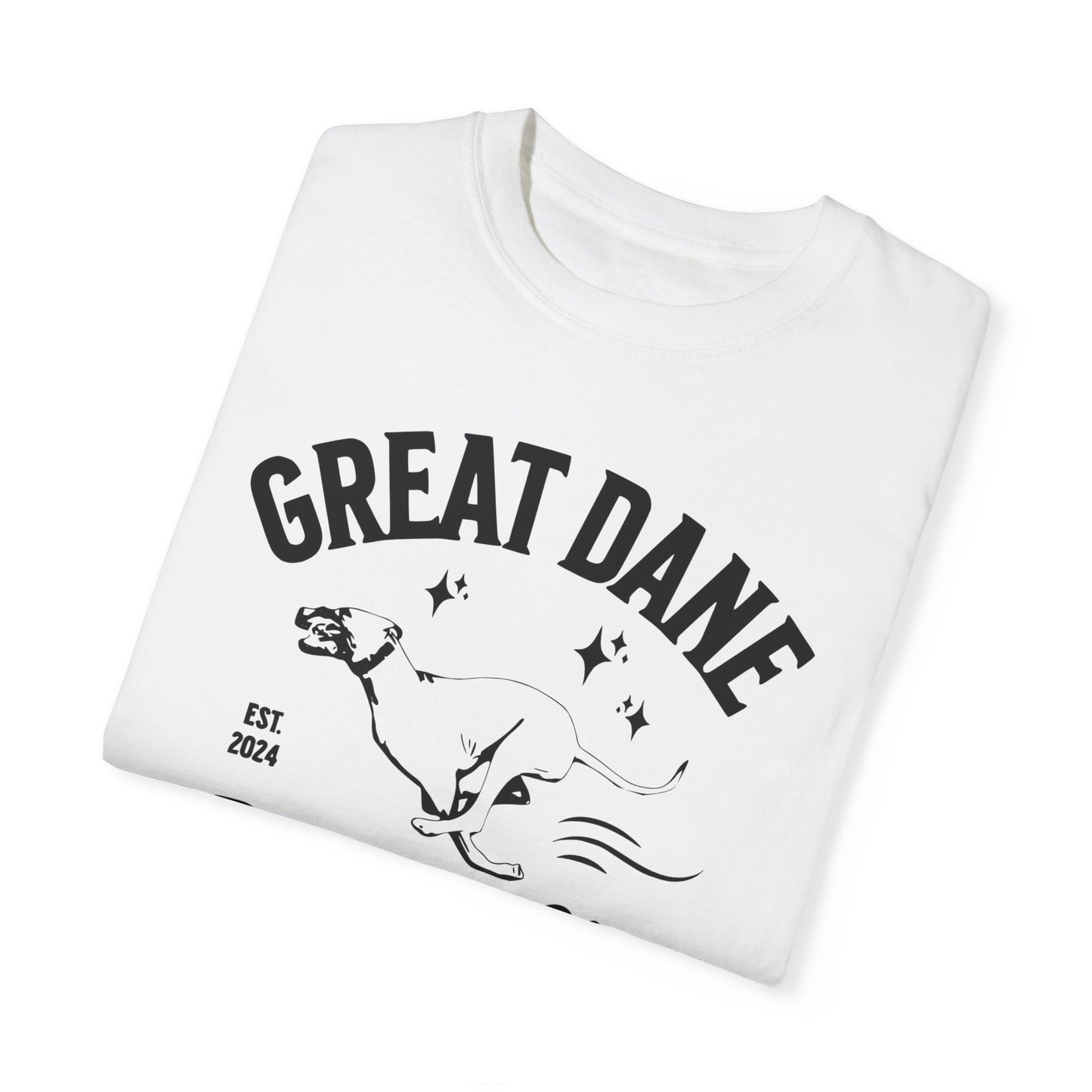 Zoomies Club Comfort Colors Tee