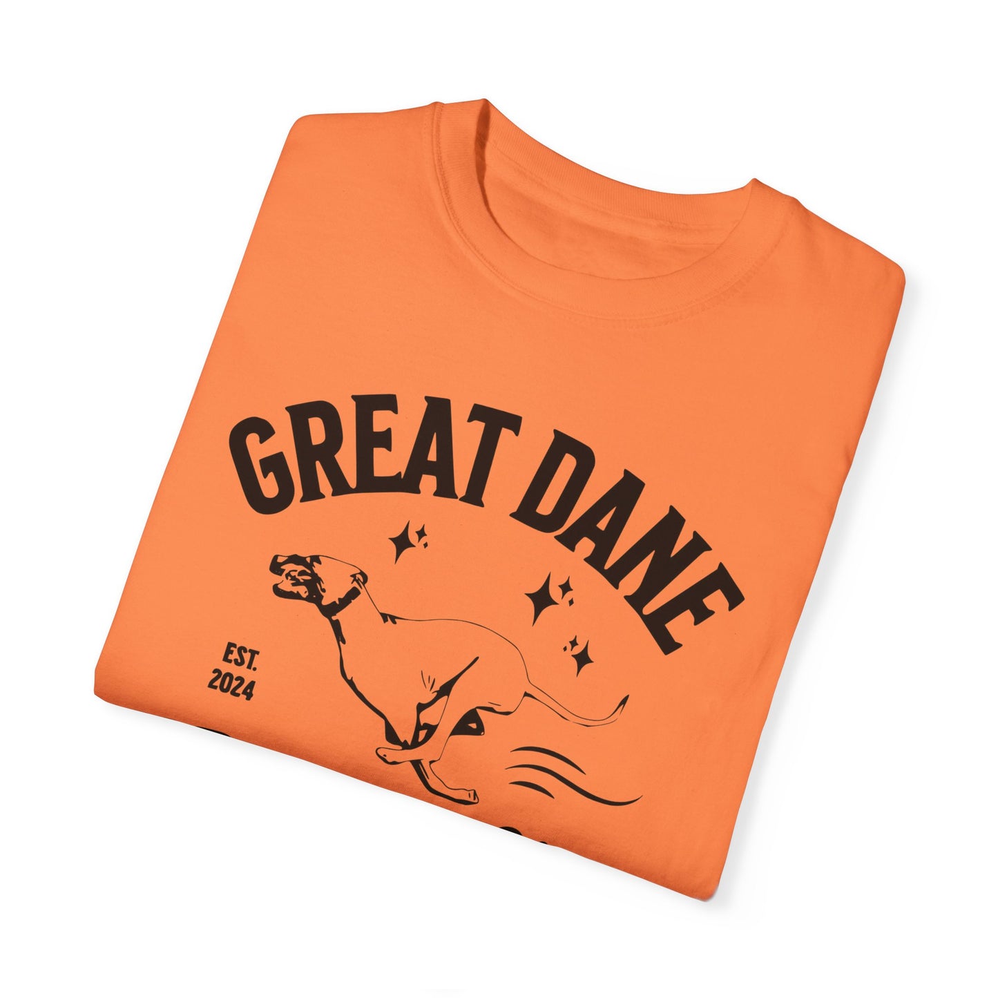 Zoomies Club Comfort Colors Tee