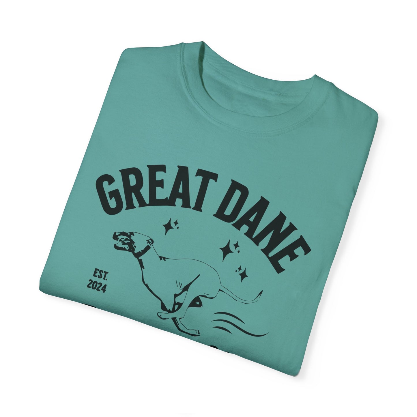 Zoomies Club Comfort Colors Tee