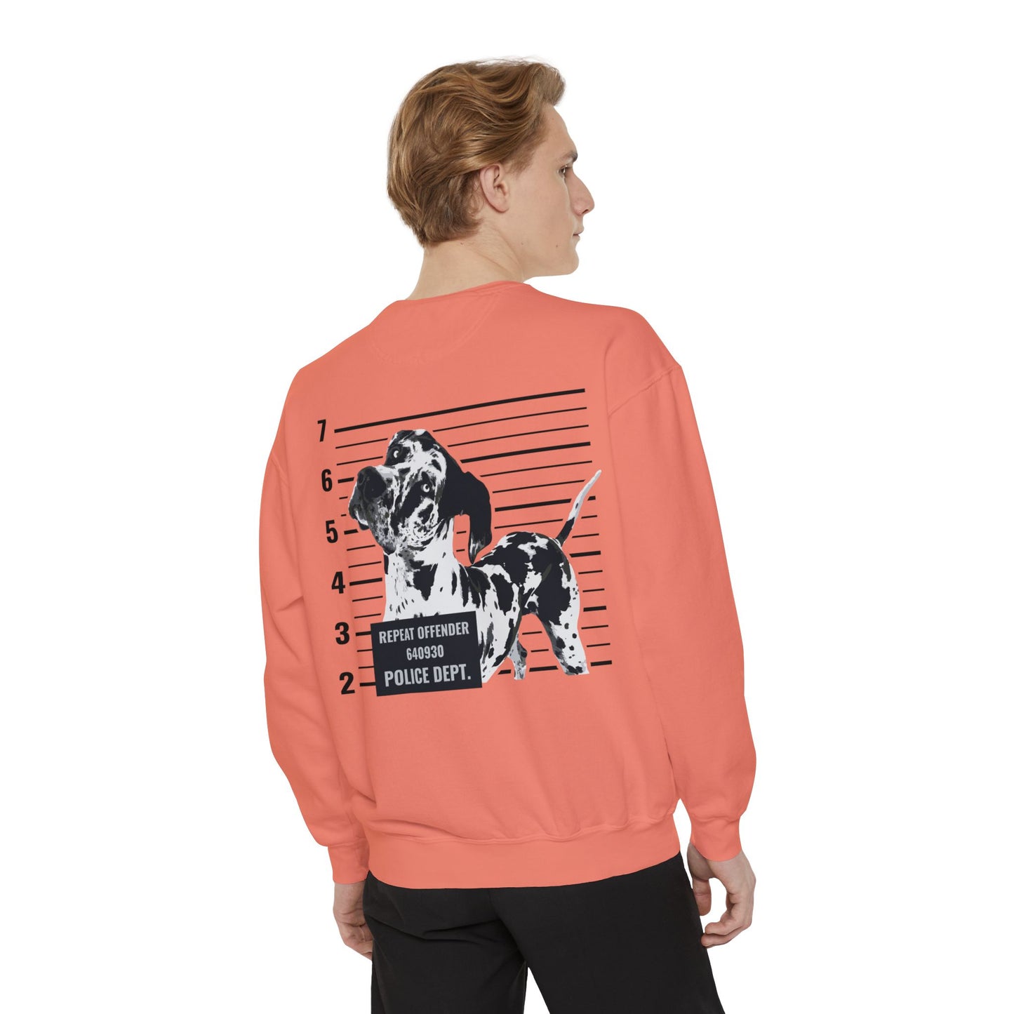 #FreeRocco Comfort Colors Sweatshirt