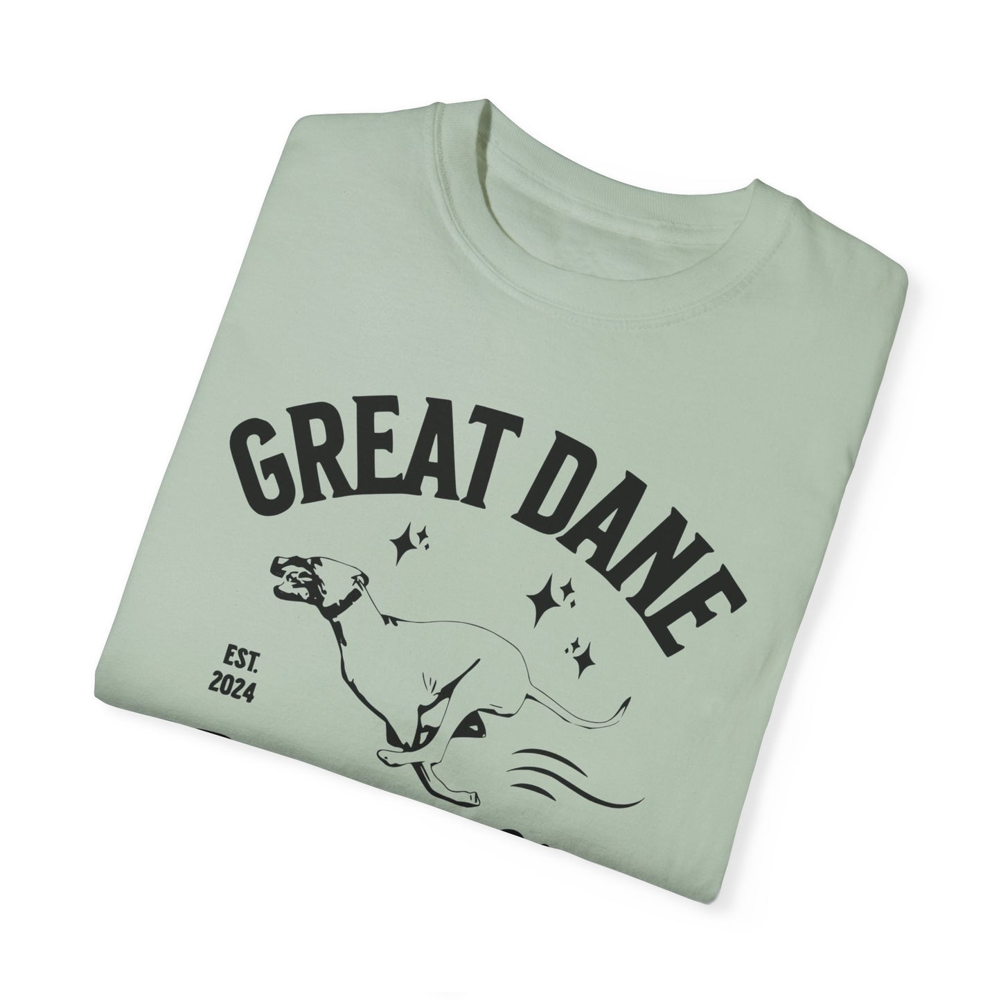 Zoomies Club Comfort Colors Tee