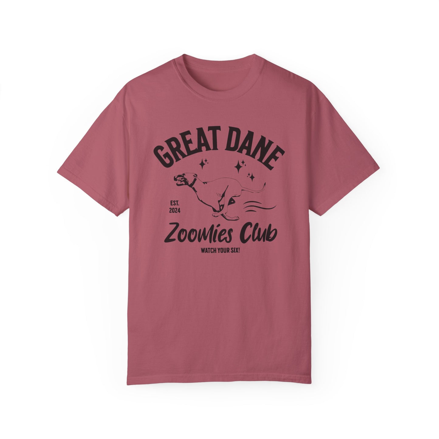 Zoomies Club Comfort Colors Tee
