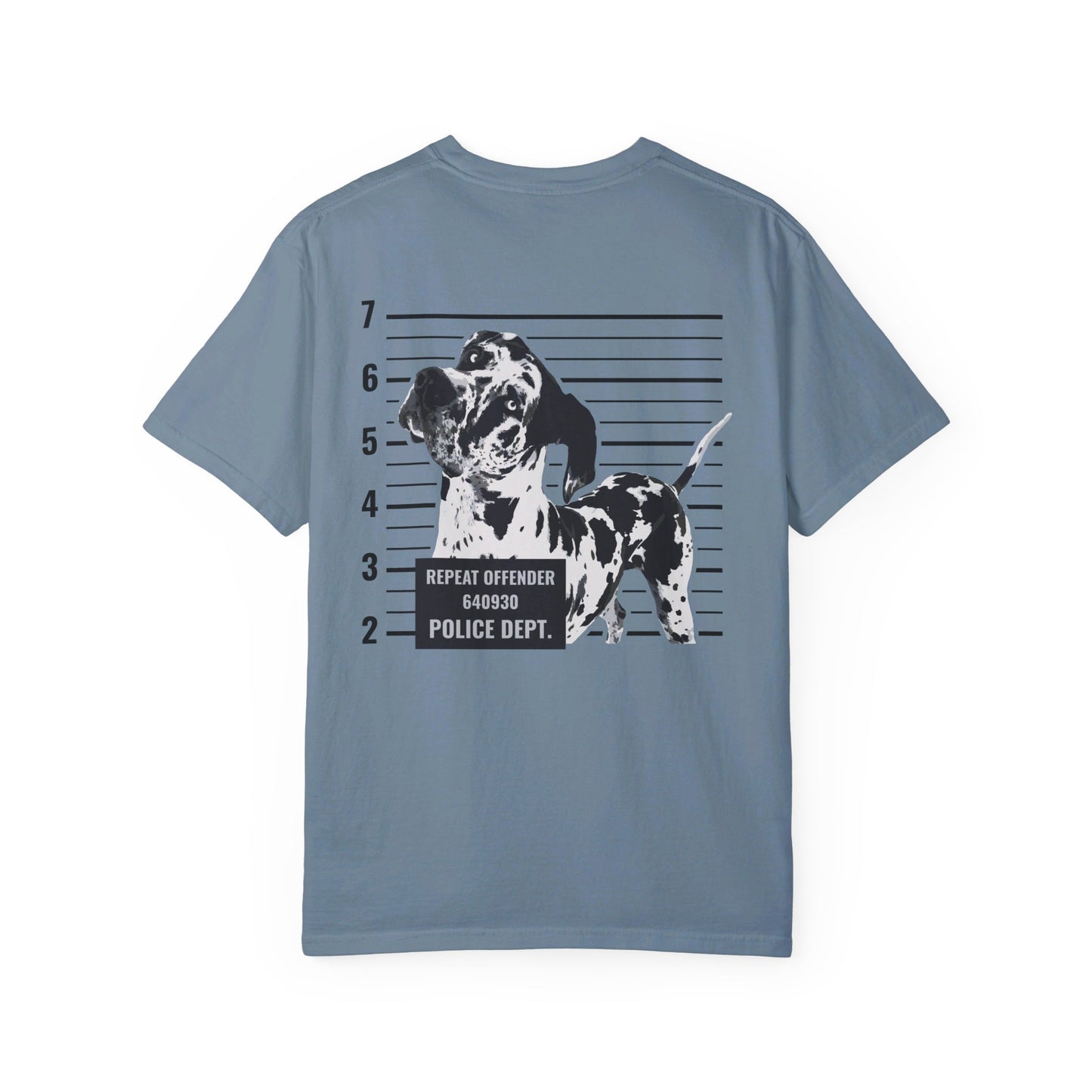 #FreeRocco Comfort Colors Tee