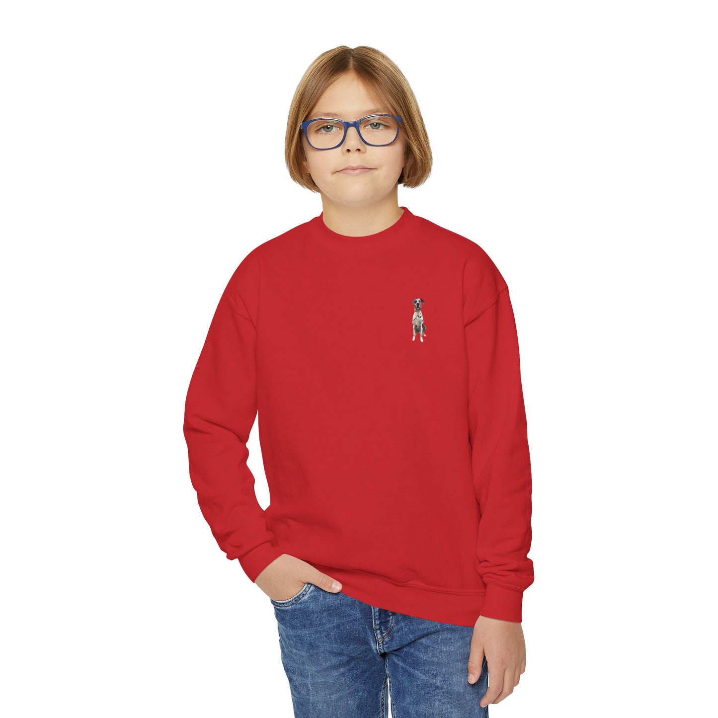 Rocco and Fam Youth Crewneck Sweatshirt