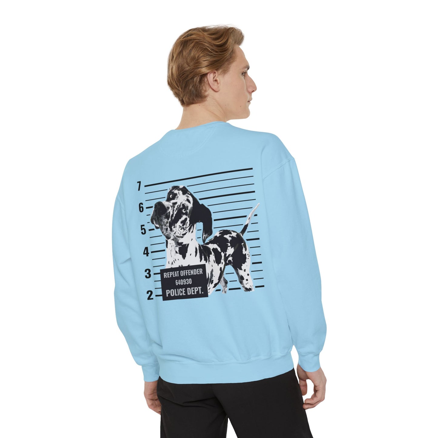 #FreeRocco Comfort Colors Sweatshirt