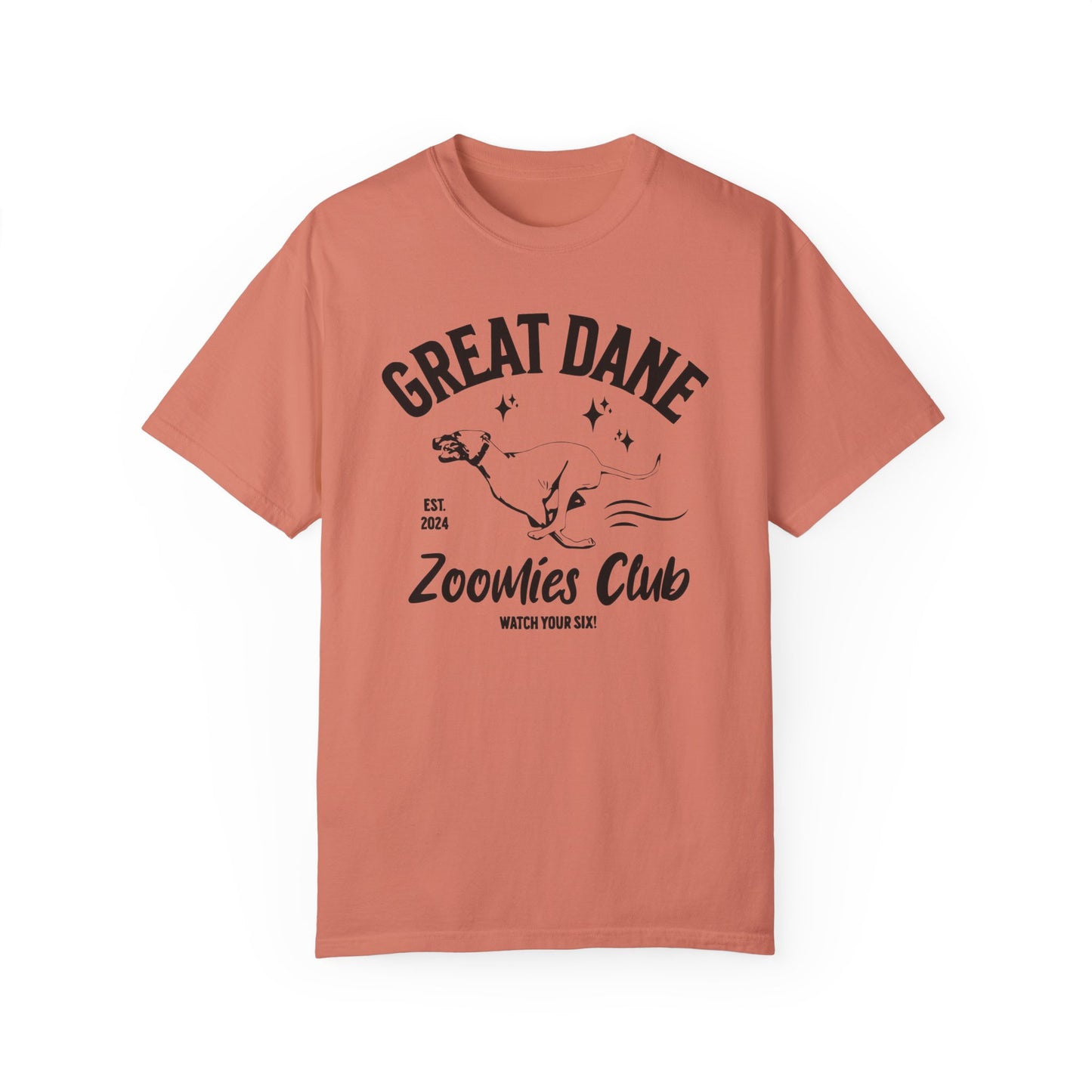 Zoomies Club Comfort Colors Tee