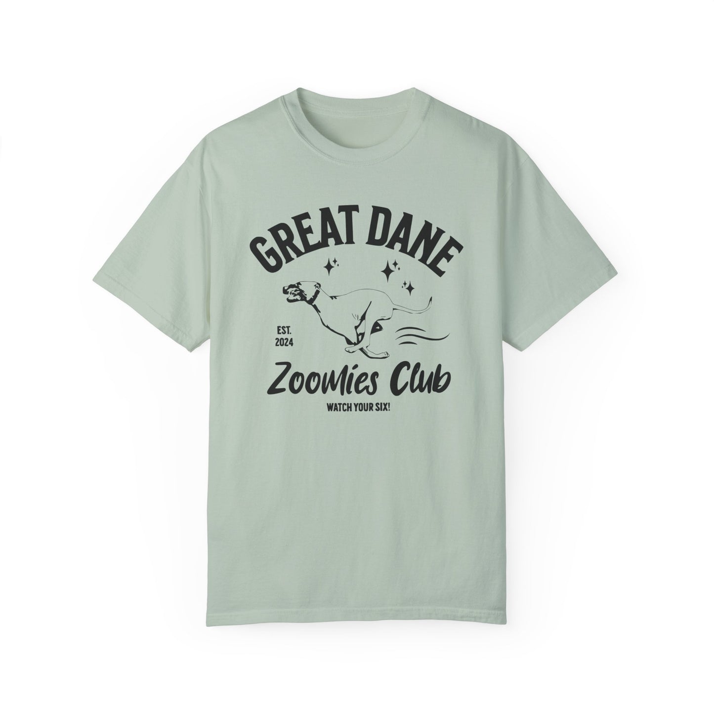 Zoomies Club Comfort Colors Tee