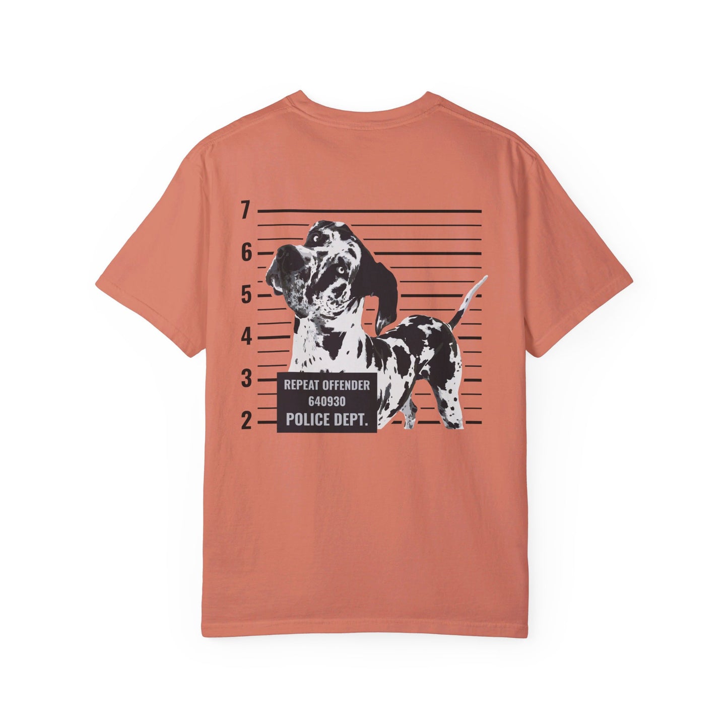 #FreeRocco Comfort Colors Tee