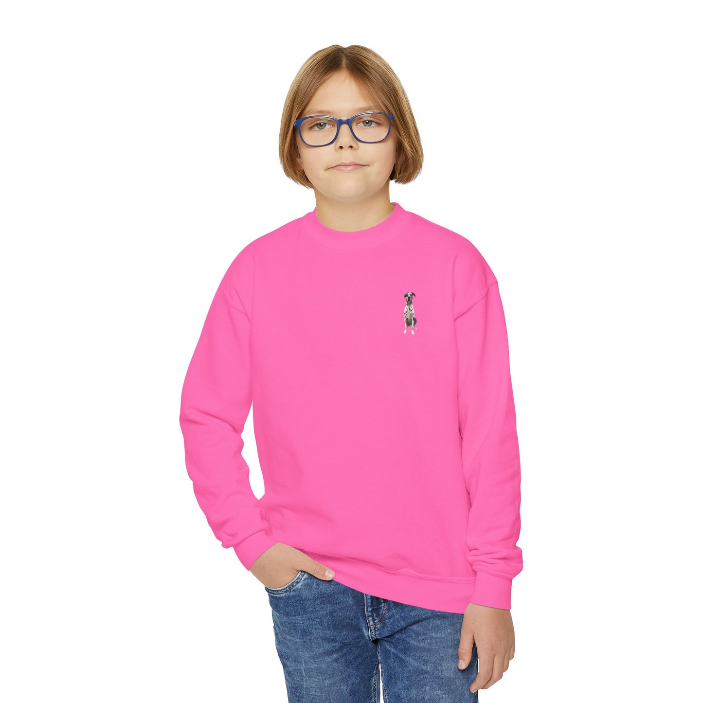 Rocco and Fam Youth Crewneck Sweatshirt