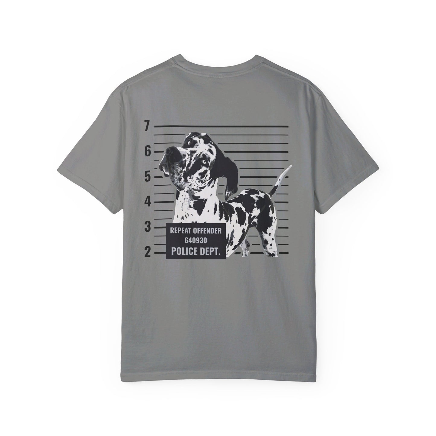 #FreeRocco Comfort Colors Tee