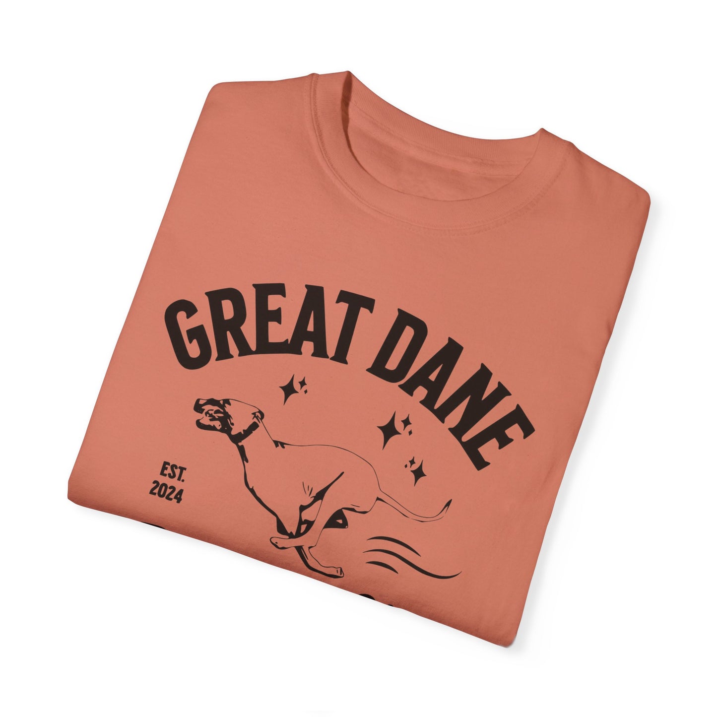 Zoomies Club Comfort Colors Tee