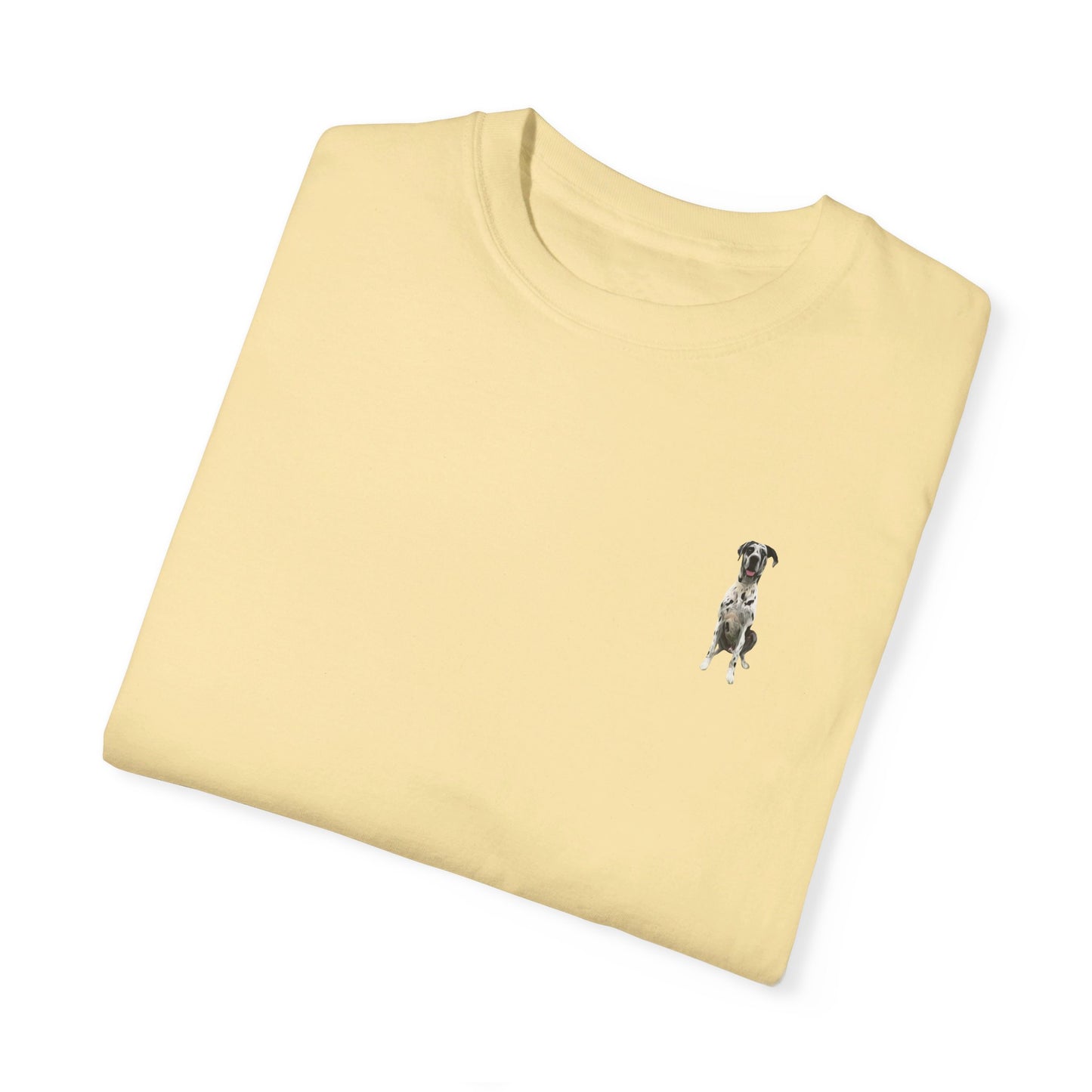 Rocco and Fam Comfort Colors Tee