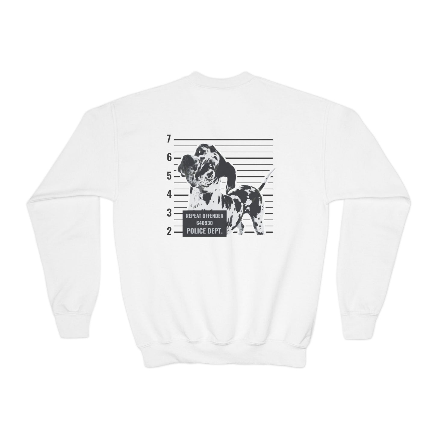 #FreeRocco Youth Crewneck Sweatshirt