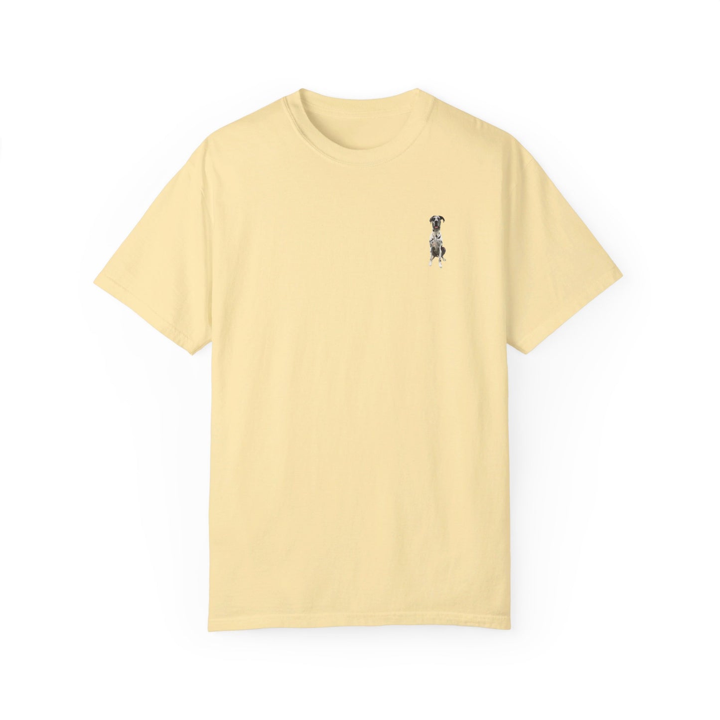 Rocco and Fam Comfort Colors Tee