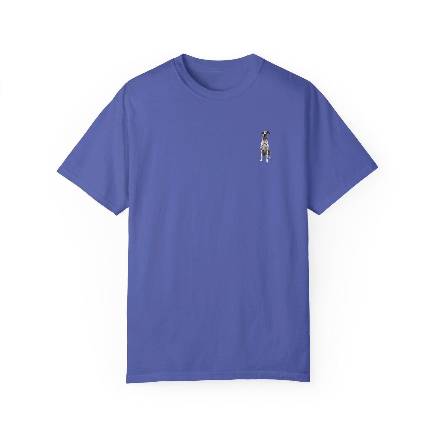 Rocco and Fam Comfort Colors Tee