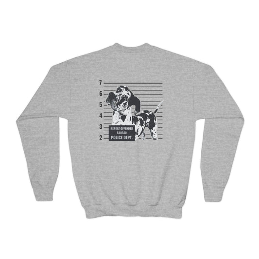 #FreeRocco Youth Crewneck Sweatshirt