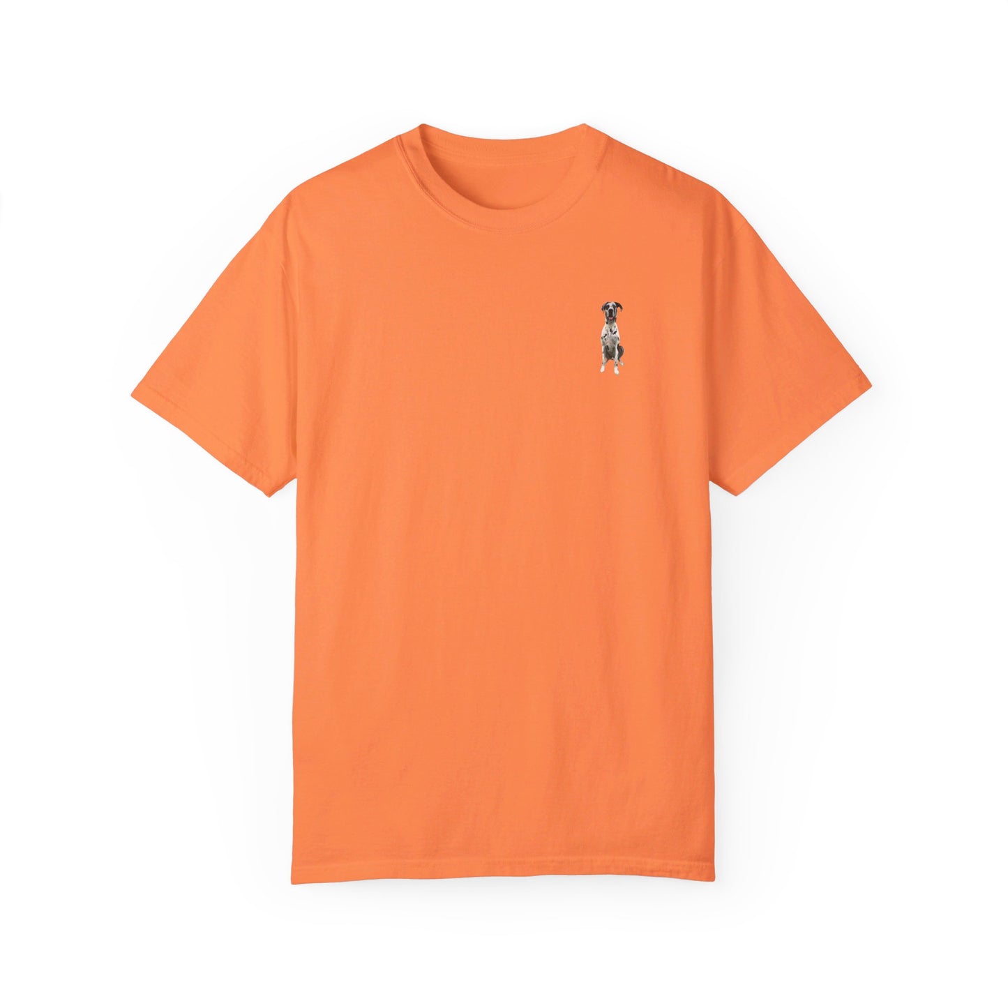 Rocco and Fam Comfort Colors Tee