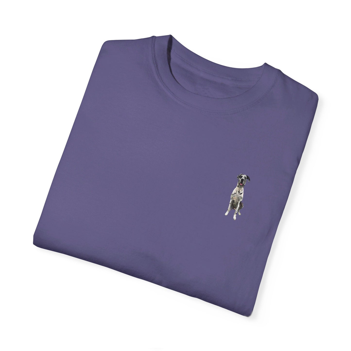 Rocco and Fam Comfort Colors Tee