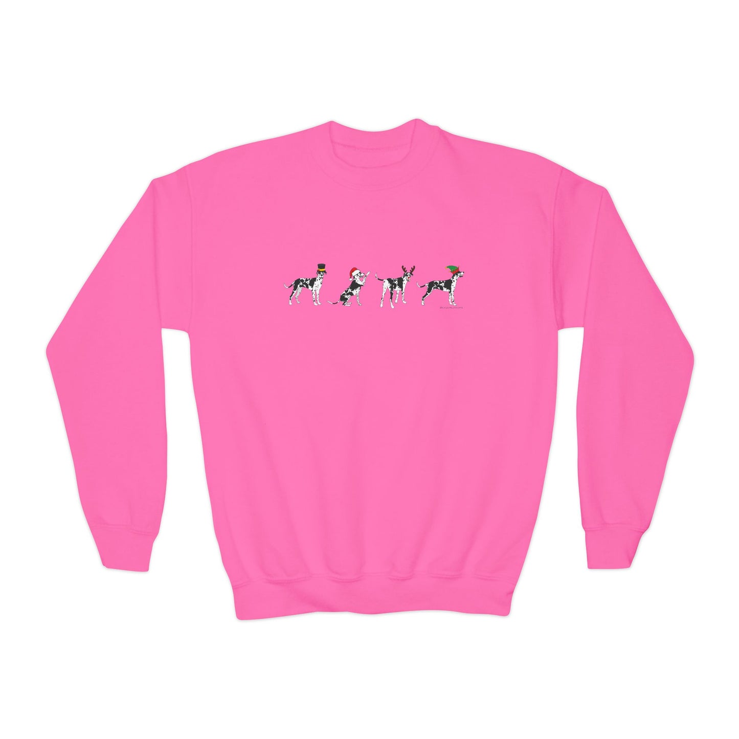 Christmas Rocco Youth Crewneck Sweatshirt