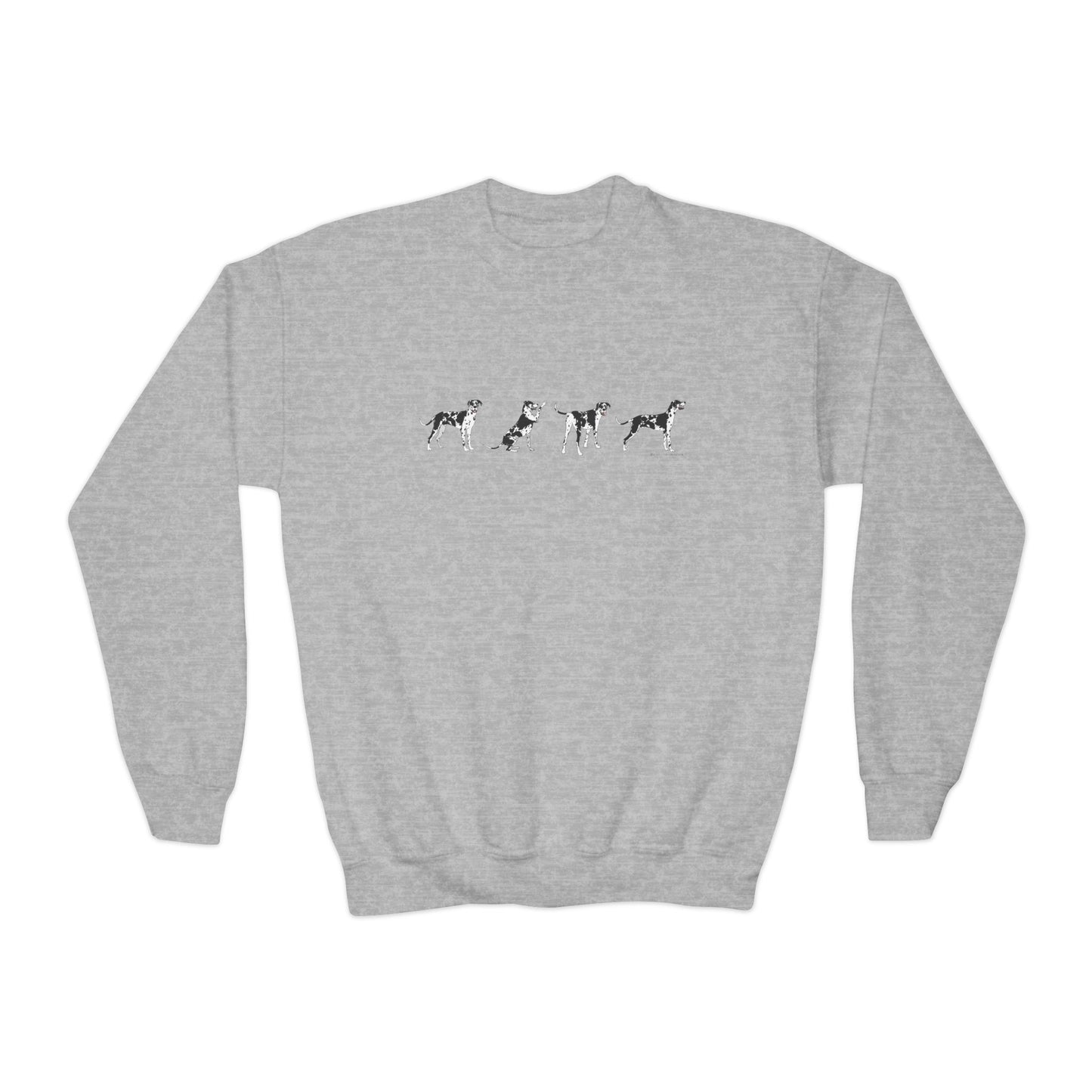 Rocco Youth Crewneck Sweatshirt