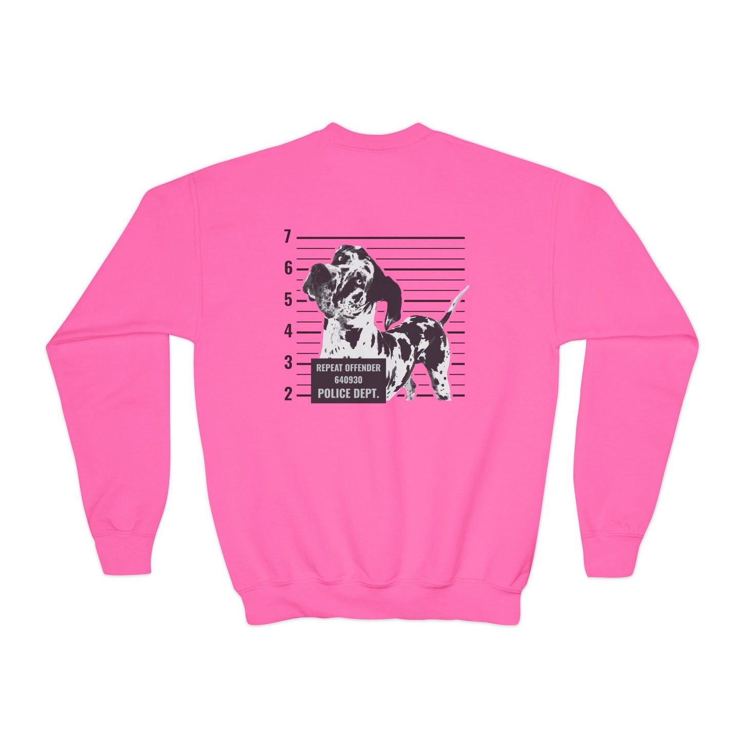 #FreeRocco Youth Crewneck Sweatshirt